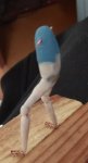 IMG_20180312_160101.jpg