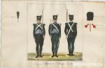1809-7.jpg