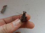 DSCN6119.JPG