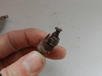 DSCN6120.JPG