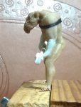 IMG_20180406_203210.jpg