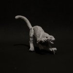 DSC_0479.jpg