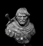 TRB250-112 Mercenary (Miklos Bute) (7).jpg