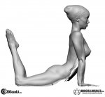 3ddigitaldoubles_artistic_tcs_Contort03_013_03.jpg