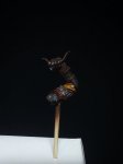 20180811_015507-01.jpeg