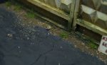 DSC01851.JPG