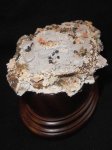 DSC04142.JPG