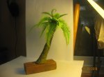 IMG_9259.JPG