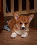 IMG_6158_web.jpg