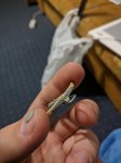 IMG_20181015_000631.jpg