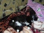 DSCN1629.JPG