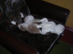 DSCN1394.JPG
