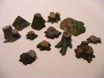 35172_Tree_Stumps_7_enl.jpg