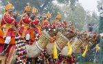 camel-story_647_011716090000.jpg