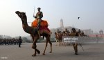 gettyimages-95861880-1024x1024.jpg