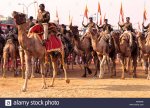 india-uttar-pradesh-new-delhi-military-parade-A80HME.jpg