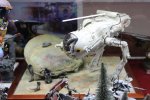 IMG_7777.JPG