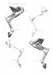 f5189a08ee94.jpg