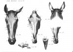 12a529cb5514.jpg