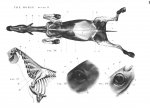 32a07ee5951e.jpg