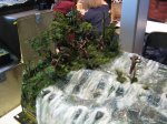 IMG_7982.JPG