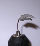 IMG_3477.JPG