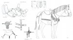 Cavallo-Civita-Giuliana-800x445.jpg