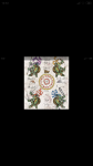 Screenshot_2019-02-26-10-53-14-607_com.miui.gallery.png