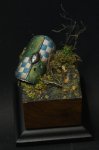 DSC0443491.JPG
