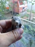 IMG_20190805_171257.jpg