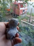 IMG_20190805_171252.jpg