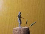 IMG_20170330_215606.jpg