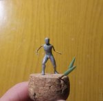 IMG_20170330_215556.jpg