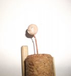 DSCF7515.JPG