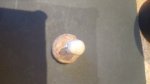 IMG_20170404_081147.jpg