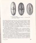 IMG_20190924_0003.jpg