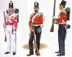 68th, 33rd, 77th uniforms.jpg