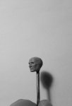 CameraZOOM-20170404202841648.jpg
