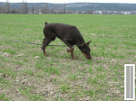 9264995.gif