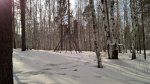 тофалары_02.jpg