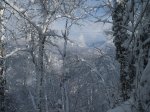 P1010917.JPG