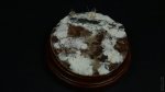 DSC08891.JPG