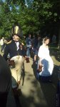 IMG_20170611_165450.jpg