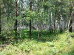 20150718_140719.jpg