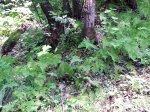 20150718_141342.jpg
