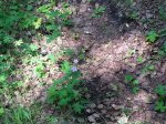 20150718_142016.jpg