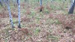 24_09_2016_013.jpg
