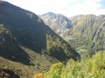 IMG_3379.JPG