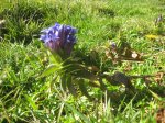 IMG_3387.JPG