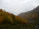 P1010417.JPG